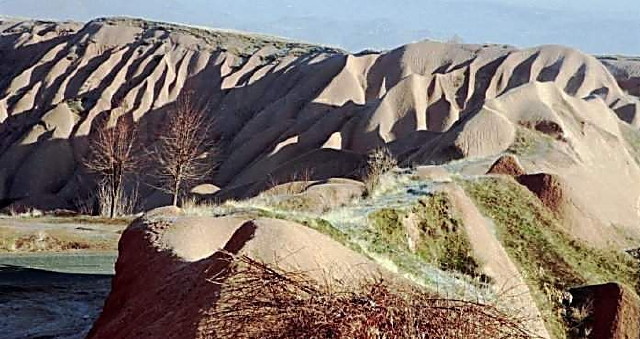 img0013.jpg
