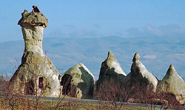 img0015.jpg