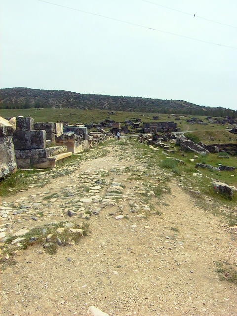 img0037.jpg