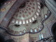 img0005.jpg