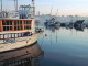 img0027.jpg