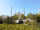 img0033.jpg