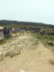 img0037.jpg