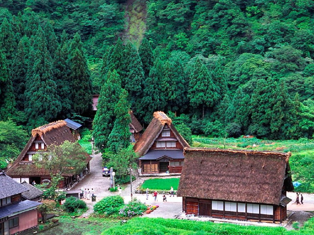 img0002.jpg