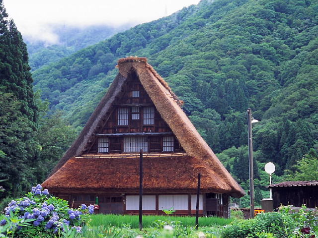 img0005.jpg