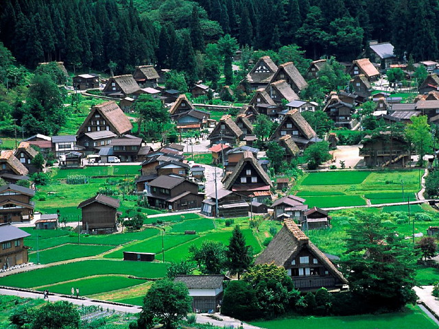 img0006.jpg