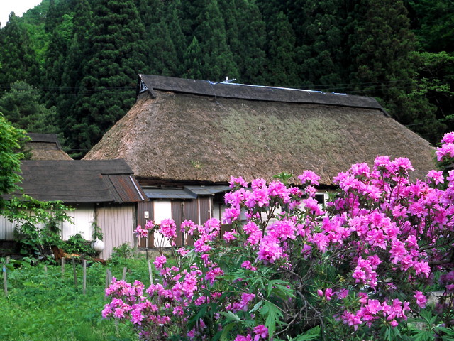 img0008.jpg