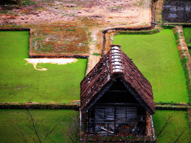 img0009.jpg
