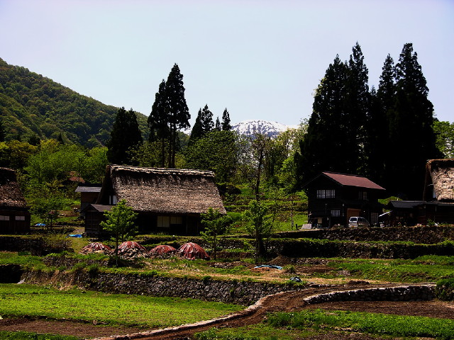 img0010.jpg