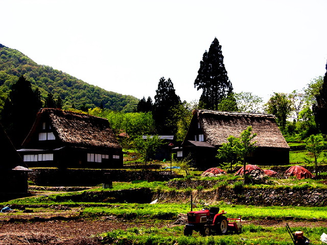 img0013.jpg