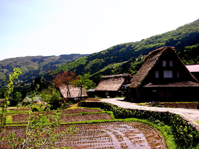 img0014.jpg
