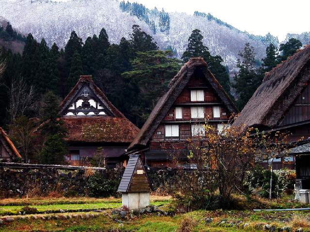 img0015.jpg