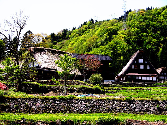 img0016.jpg