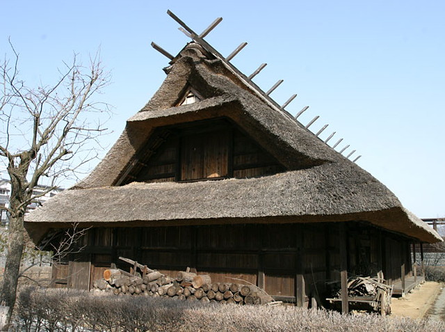 img0019.jpg