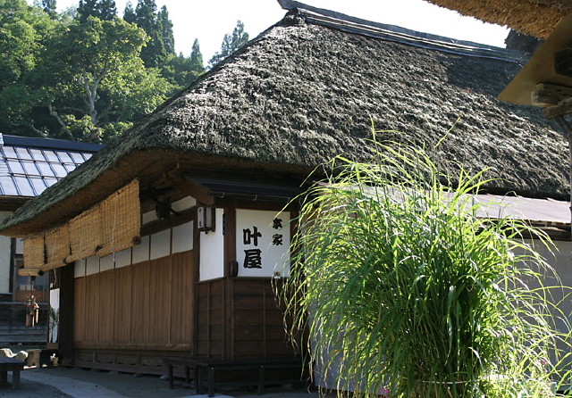 img0036.jpg