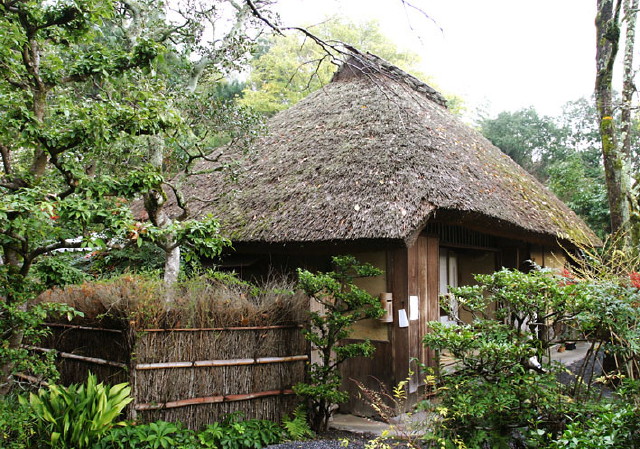 img0042.jpg