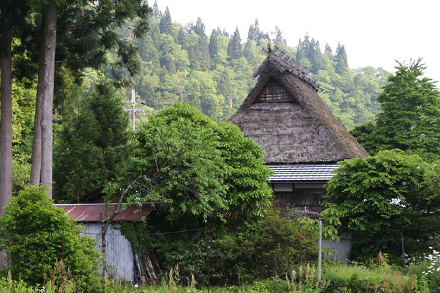 img0048.jpg