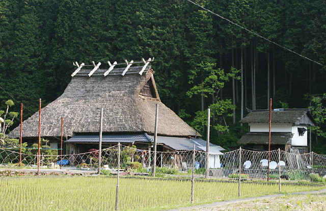img0049.jpg