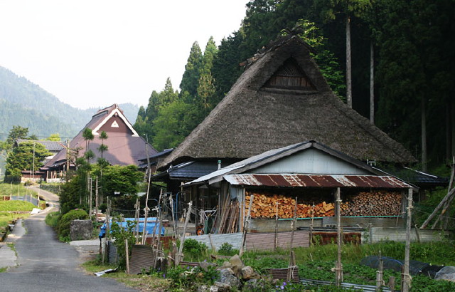 img0050.jpg