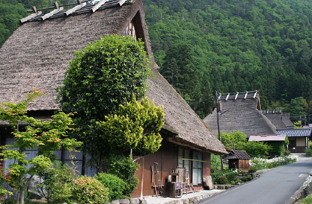 img0053.jpg