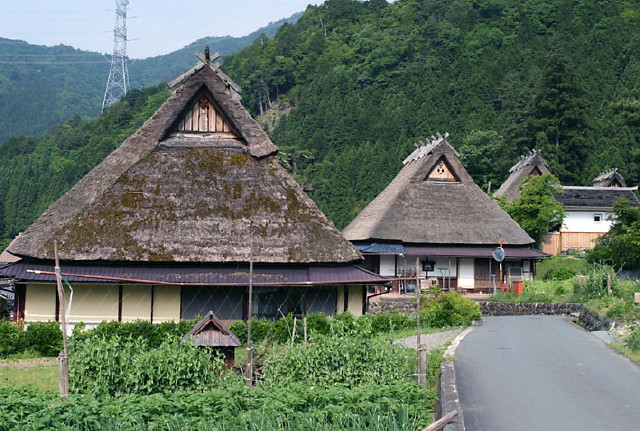 img0055.jpg
