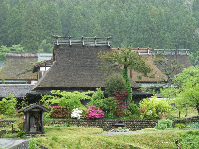 img0059.jpg