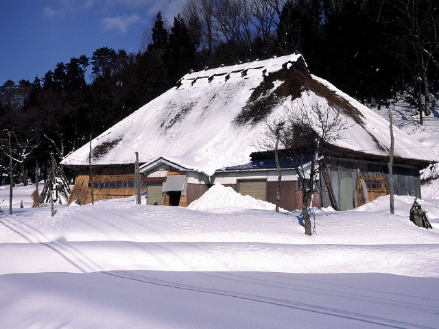 img0061.jpg