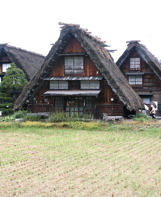 img0065.jpg