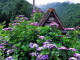 img0001.jpg