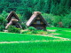 img0007.jpg
