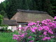 img0008.jpg