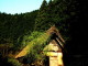 img0011.jpg