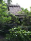 img0044.jpg