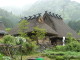 img0060.jpg