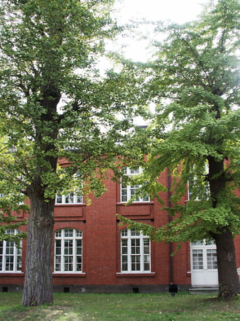 img0007.jpg