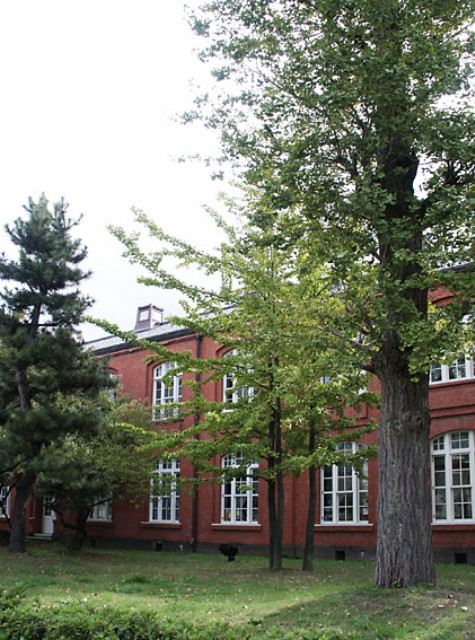 img0009.jpg