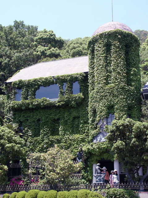 img0005.jpg