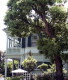 img0008.jpg