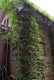 img0044.jpg