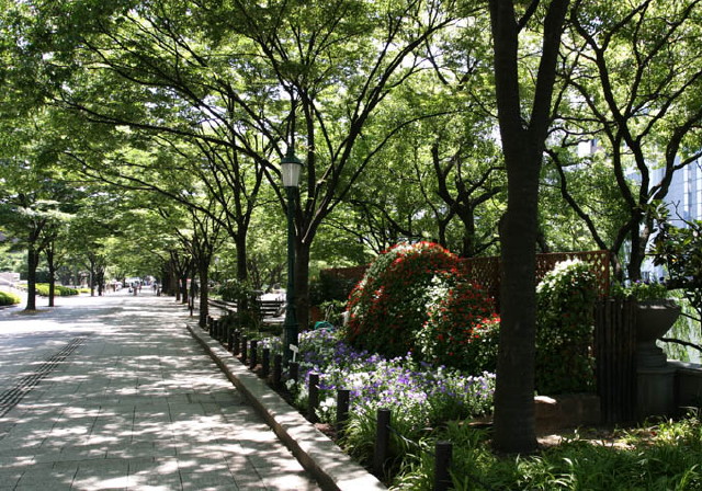 img0011.jpg