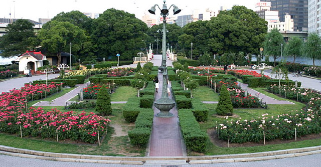 img0017.jpg