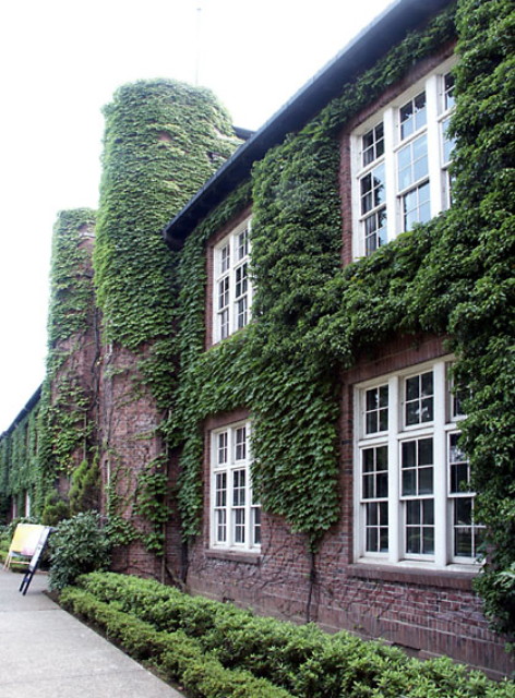 img0055.jpg