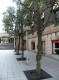 img0042.jpg