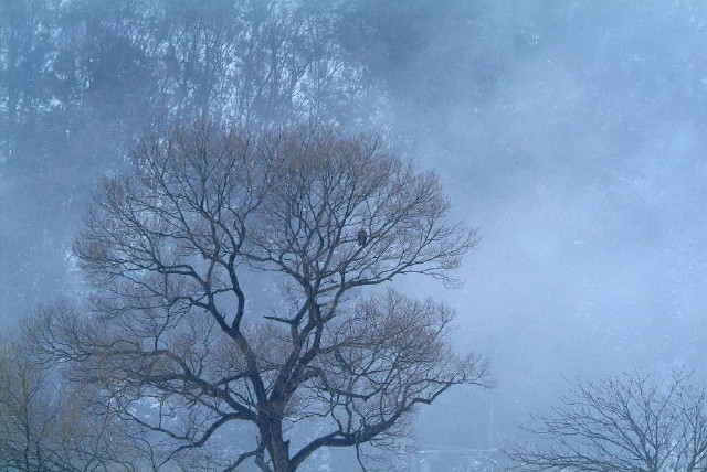 img0000.jpg