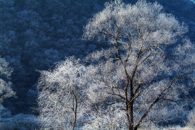 img0002.jpg