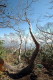 img0001.jpg