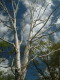img0009.jpg