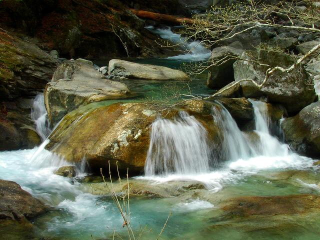 img0006.jpg
