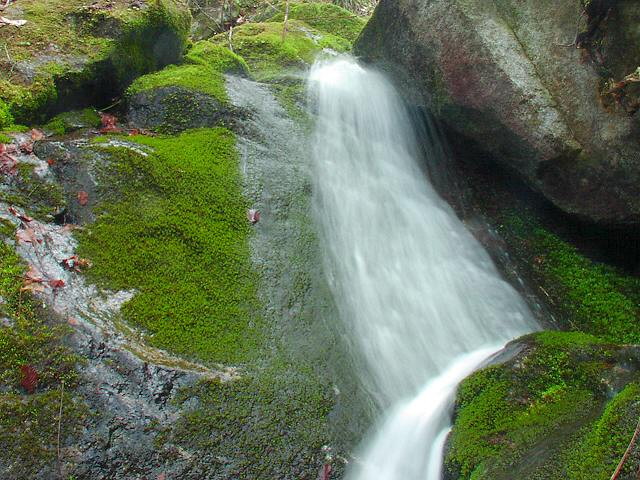 img0008.jpg