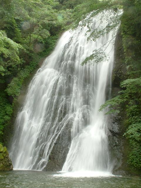 img0009.jpg